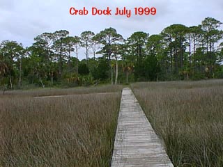 crabdock2.JPG (21844 bytes)